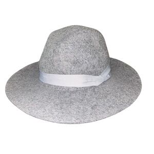 Express Gray and Black Felt Hat